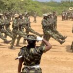 Det ligner en EU-hær – den fungerer som en EU-hær – det er en EU-hær