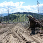 Den sorte løgn om grøn omstilling