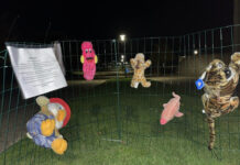 Aktion FANGET I NETTET – de syge skal ud af jobcenteret!