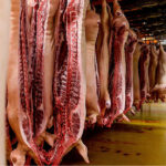 Slagteriernes krise fører til løndumping og udflagning