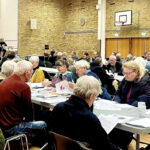 Folkebevægelsen mod EU overlevede