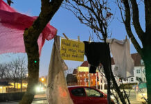 Nyt kontanthjælpssystem: Forenkling = nedskæringer