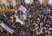 Jewish Voice for Peace i USA: Ceasefire now!