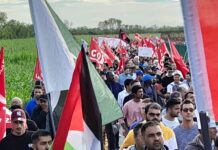 Italien: Erfaringer med arbejderklassens deltagelse i strejker og demo’er mod krigene i Ukraine og Palæstina