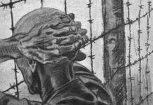 Jul i Vestre, i Frøslev og i Sachsenhausen.