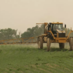 Regeringen tillader sprøjtemidler med PFAS – mens de bryster sig af at gå til kamp mod samme