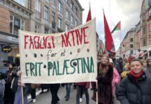 3F Ungdom: Solidaritet med Palæstina