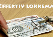 Firmaer smører udsultede kommuner