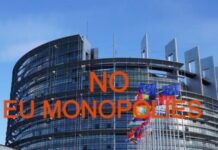 Valget til EU-Parlamentet: Et “demokratisk” fupnummer