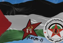 Fælles udtalelse fra palæstinensisk og spansk ungdom