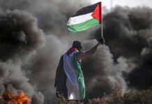 Det nationale spørgsmål og Palæstina