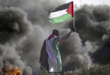 Solidaritet med det palæstinensiske folk! Stop folkemordet i Gaza NU!