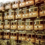 Profitmotivet i offentlig transport koster arbejderne tid, penge og helbred