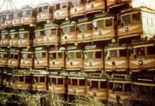 Profitmotivet i offentlig transport koster arbejderne tid, penge og helbred