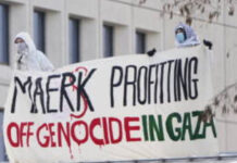 Mærsk: Fædrelandskærlighed og krigsprofitter