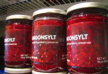 17 kroner i timen er lønnen for at plukke vilde bær i Sverige