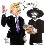 Ændringer i den internationale situation med Trump