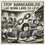 Netto er ikke den bedste skole