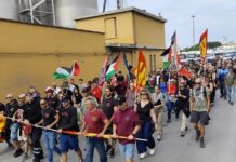 Havnearbejdere i solidaritet med Palæstina: ”Hvis krigen kommer gennem havnene, må svaret komme fra havnene.”