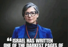 Fra besættelsesøkonomi til folkemordøkonomi