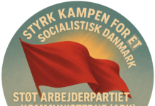 Bak op om APKs arbejde – et fast støttebeløb er guld værd