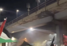 ”Havnearbejdere arbejder ikke for krig” – strejker og aktioner i havnene er en kæmpe inspiration